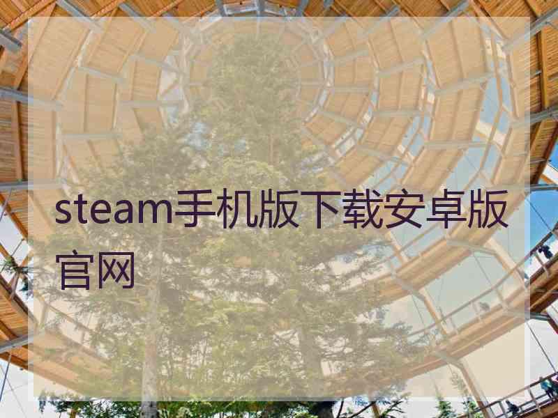 steam手机版下载安卓版官网