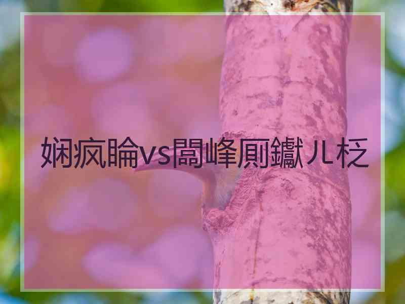 娴疯睔vs闆峰厠钀ㄦ柉