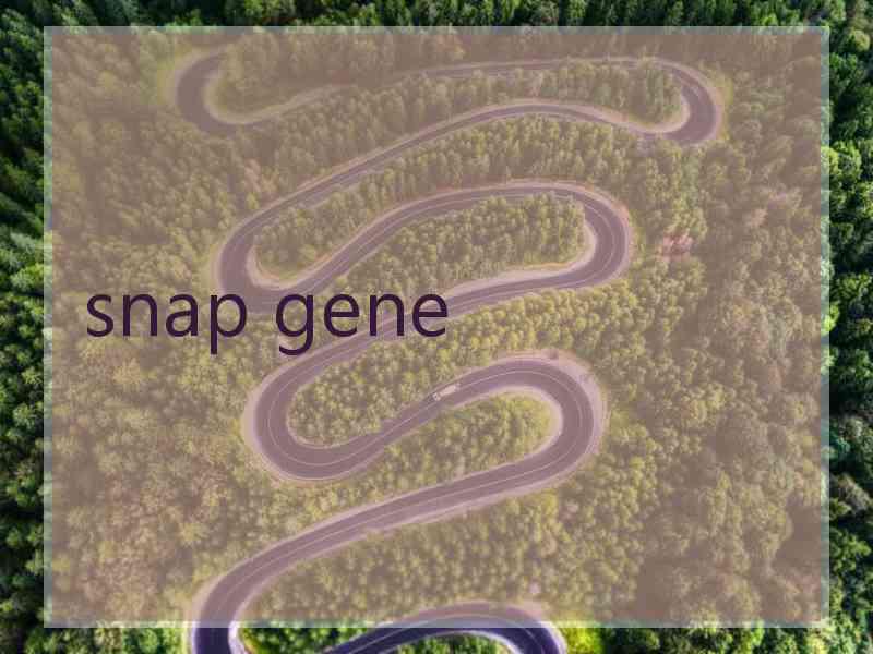 snap gene