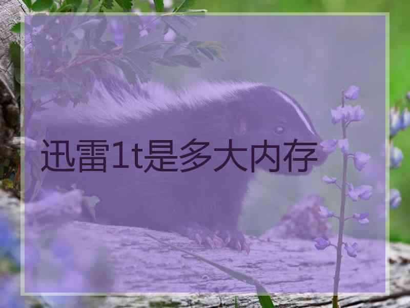 迅雷1t是多大内存