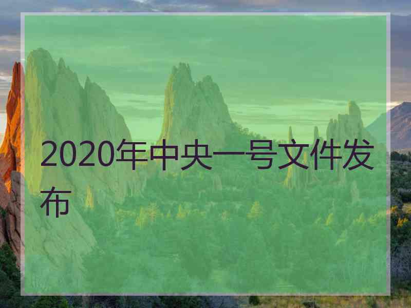 2020年中央一号文件发布