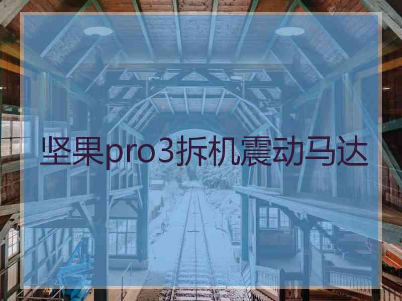 坚果pro3拆机震动马达