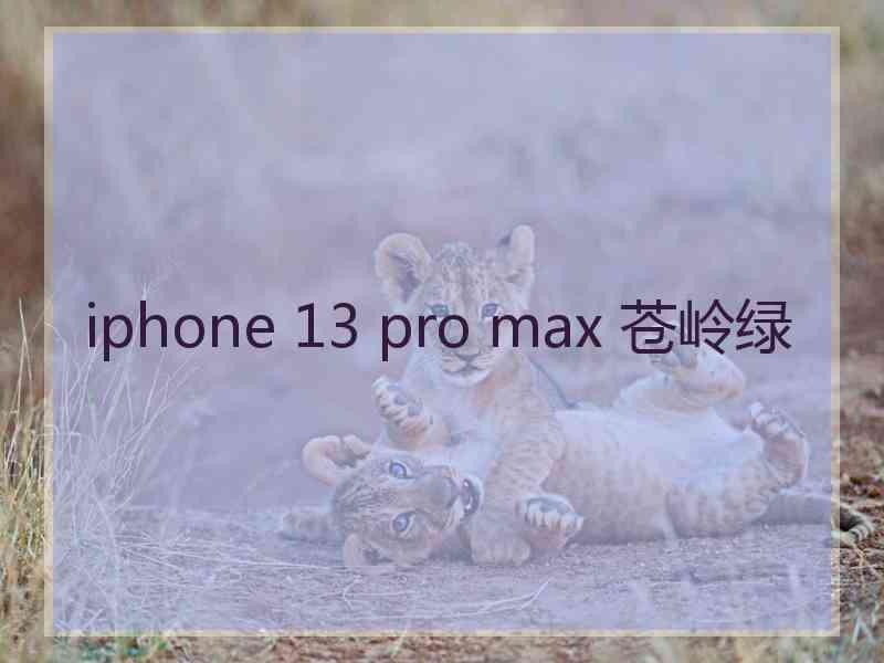 iphone 13 pro max 苍岭绿