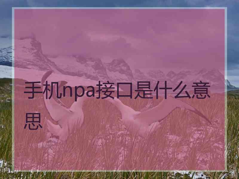 手机npa接口是什么意思