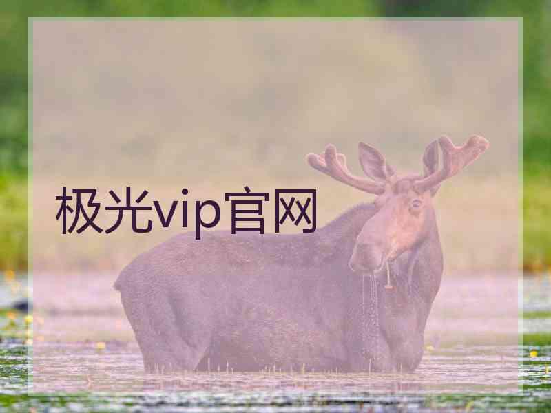 极光vip官网