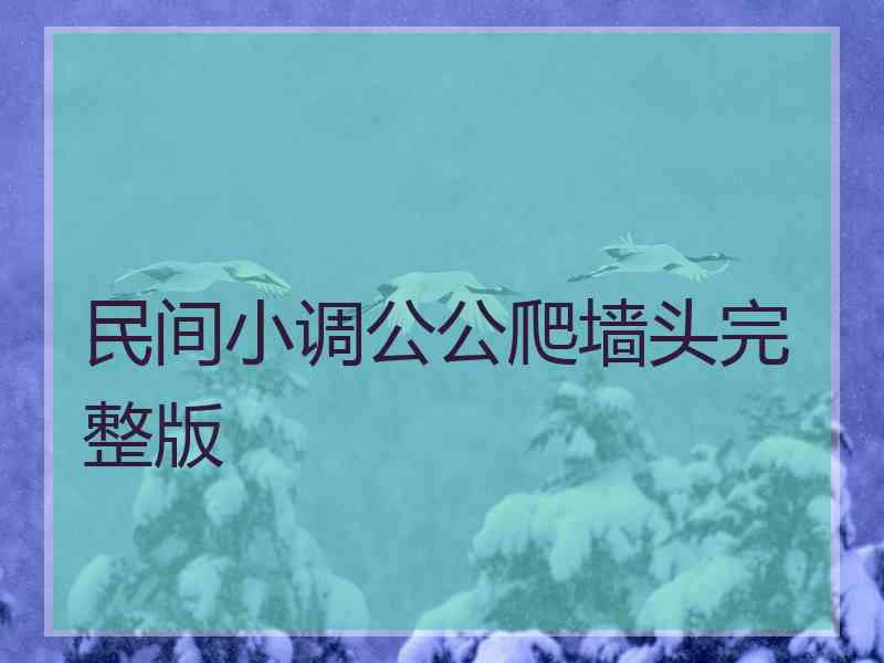 民间小调公公爬墙头完整版