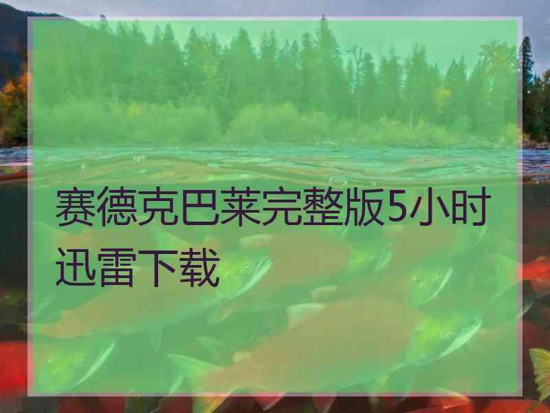 赛德克巴莱完整版5小时迅雷下载