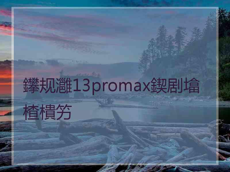 鑻规灉13promax鍥剧墖楂樻竻