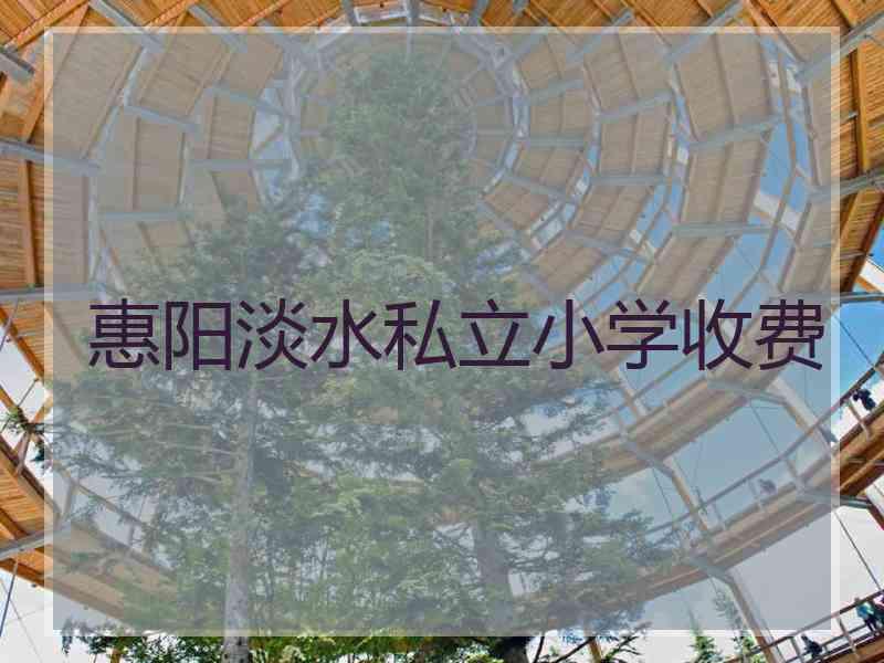 惠阳淡水私立小学收费