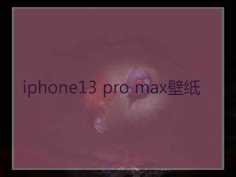 iphone13 pro max壁纸