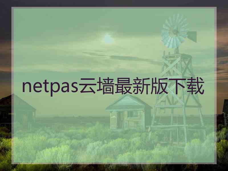 netpas云墙最新版下载