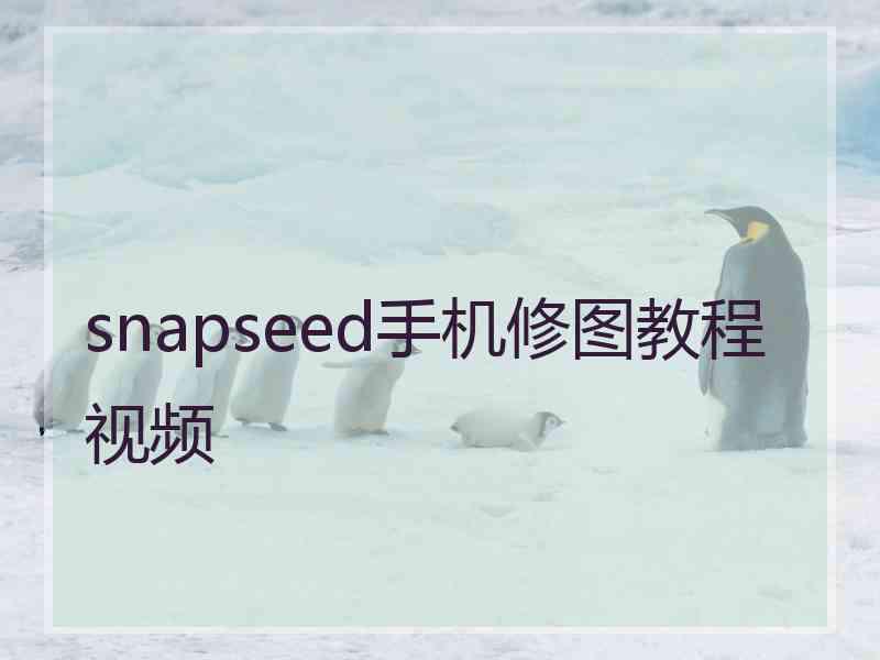 snapseed手机修图教程视频