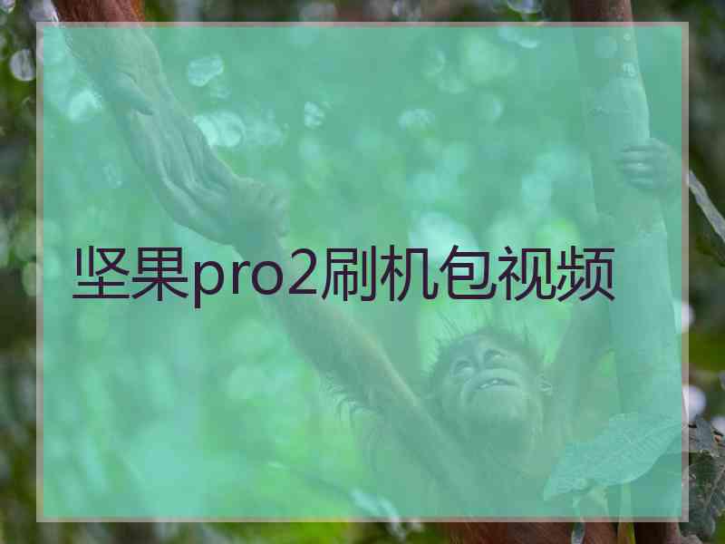 坚果pro2刷机包视频