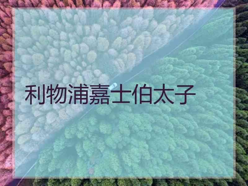 利物浦嘉士伯太子