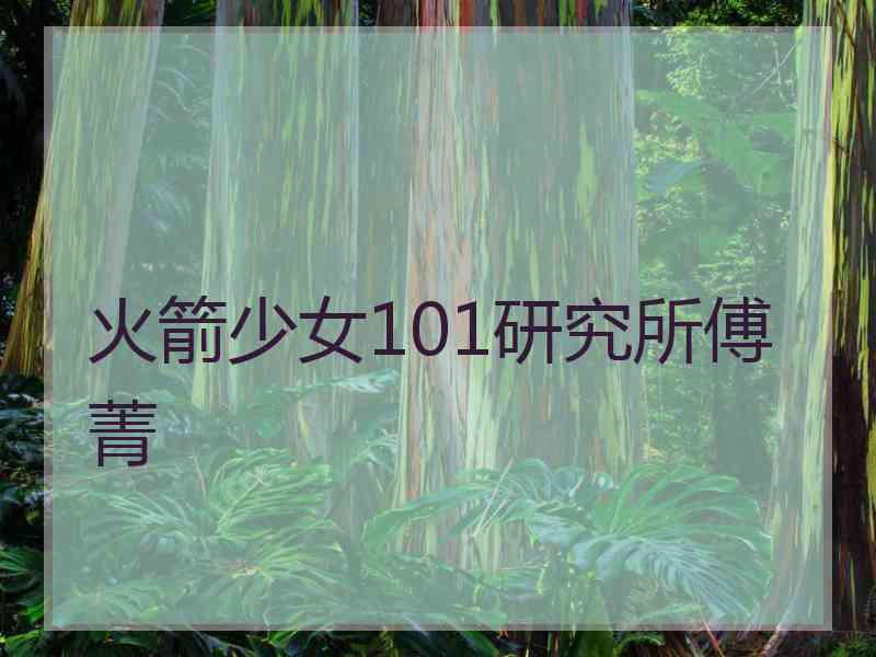 火箭少女101研究所傅菁