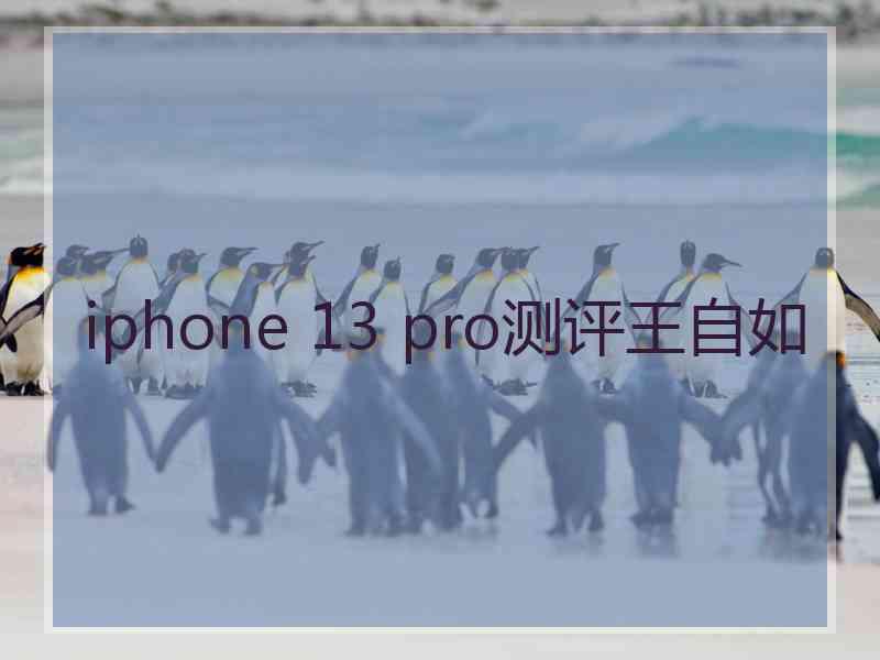 iphone 13 pro测评王自如