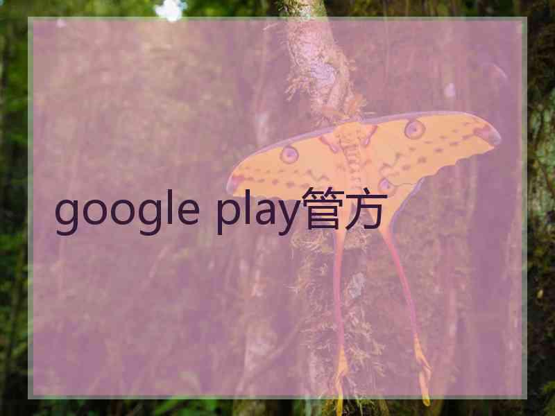 google play管方