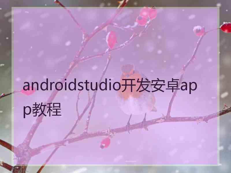 androidstudio开发安卓app教程