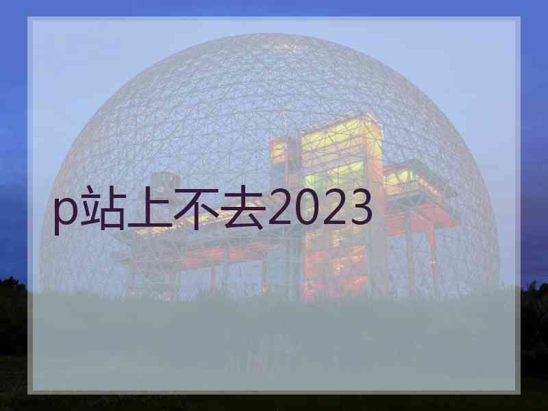 p站上不去2023