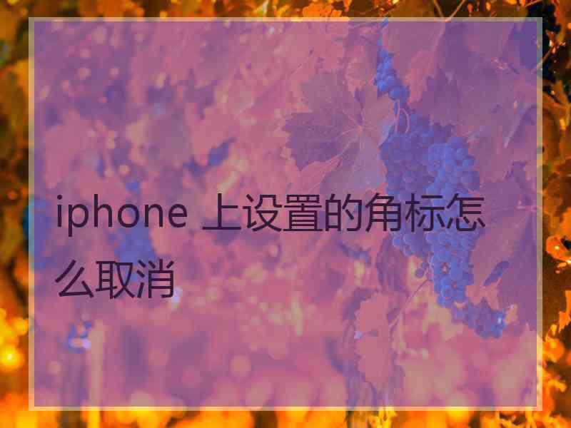 iphone 上设置的角标怎么取消