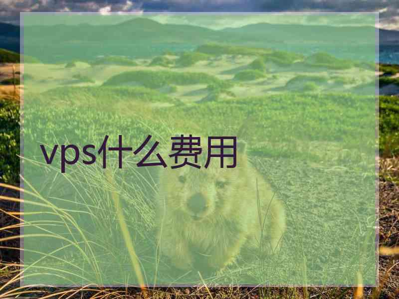 vps什么费用