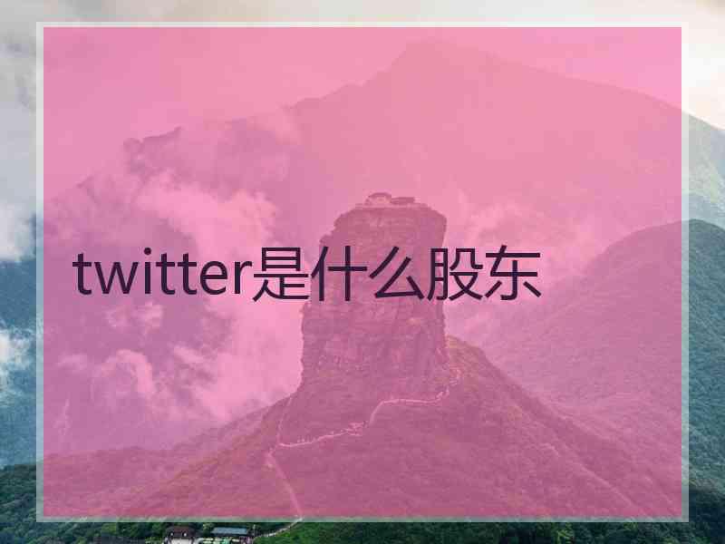 twitter是什么股东