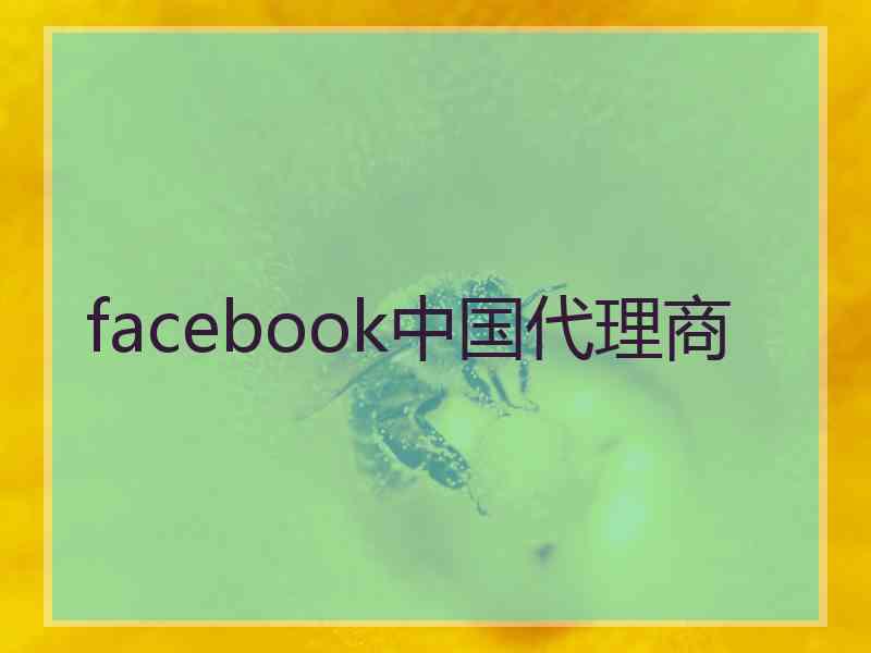 facebook中国代理商