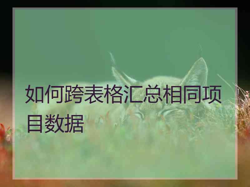 如何跨表格汇总相同项目数据