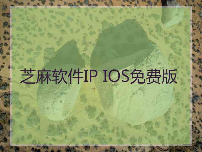 芝麻软件IP IOS免费版