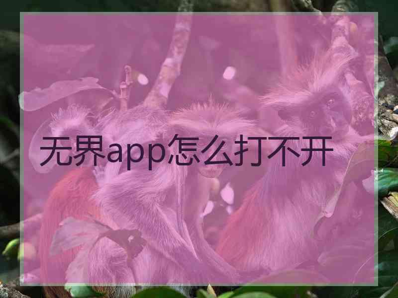 无界app怎么打不开