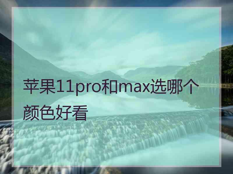 苹果11pro和max选哪个颜色好看