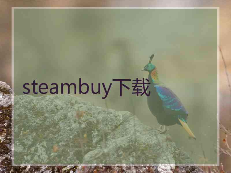 steambuy下载