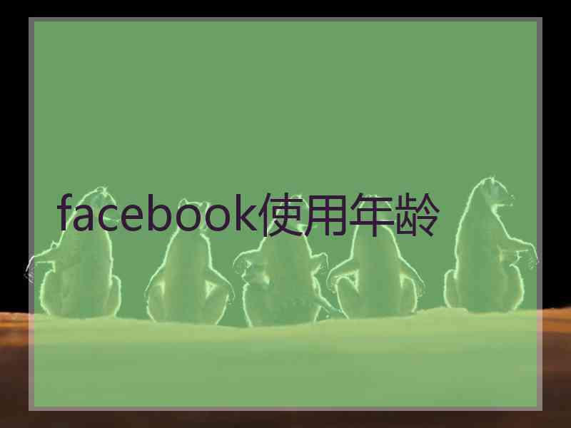 facebook使用年龄