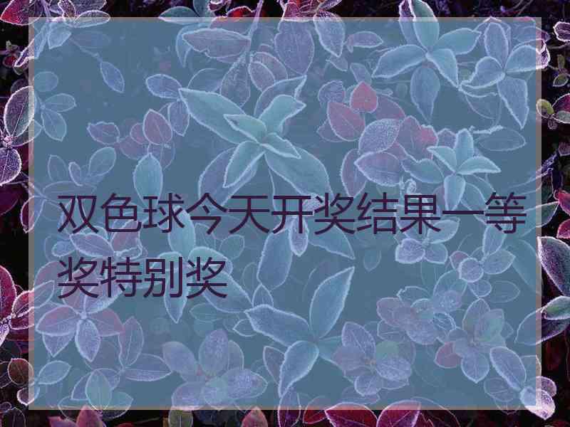 双色球今天开奖结果一等奖特别奖