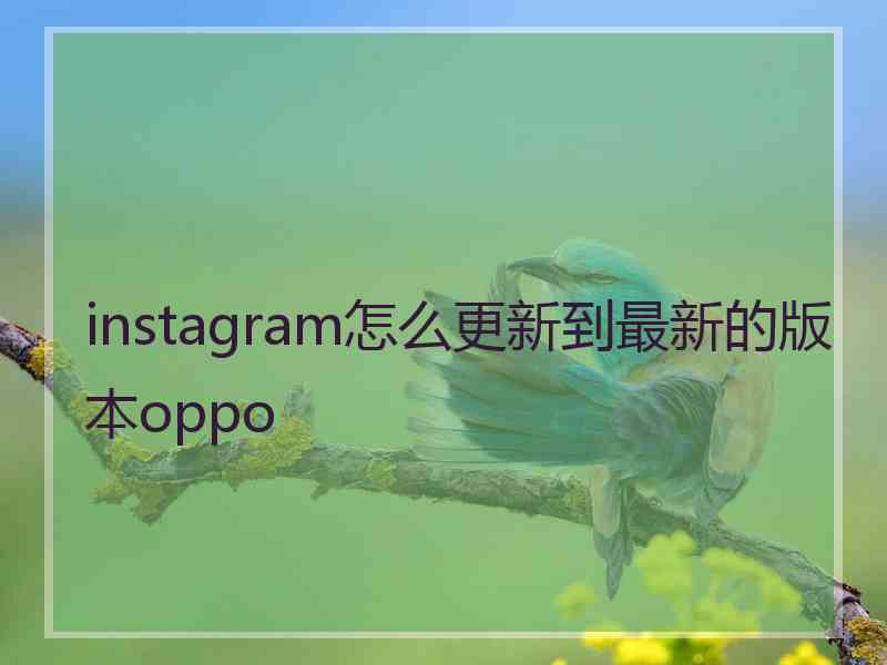 instagram怎么更新到最新的版本oppo