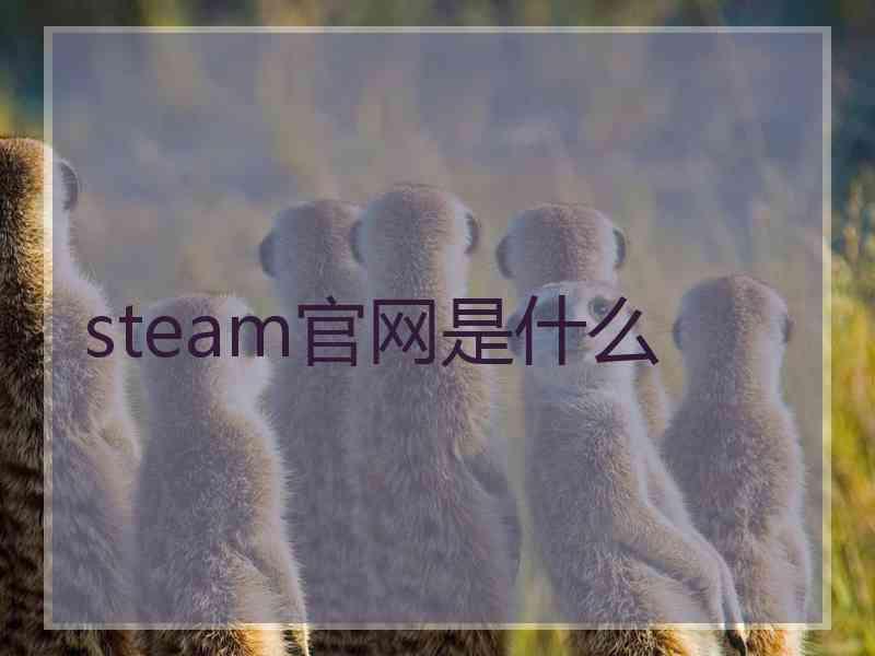 steam官网是什么