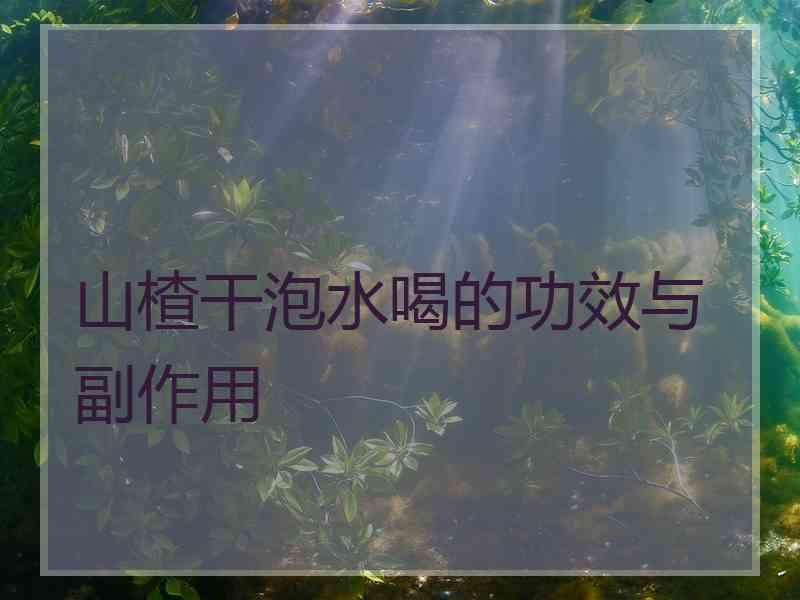 山楂干泡水喝的功效与副作用