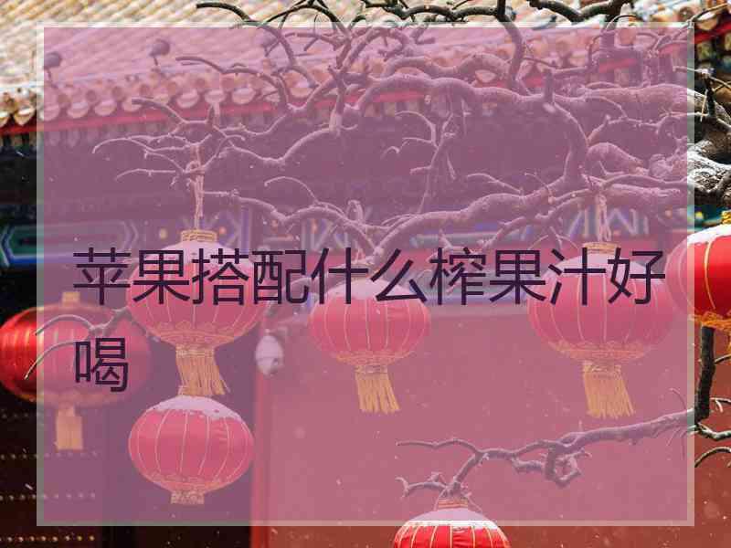 苹果搭配什么榨果汁好喝