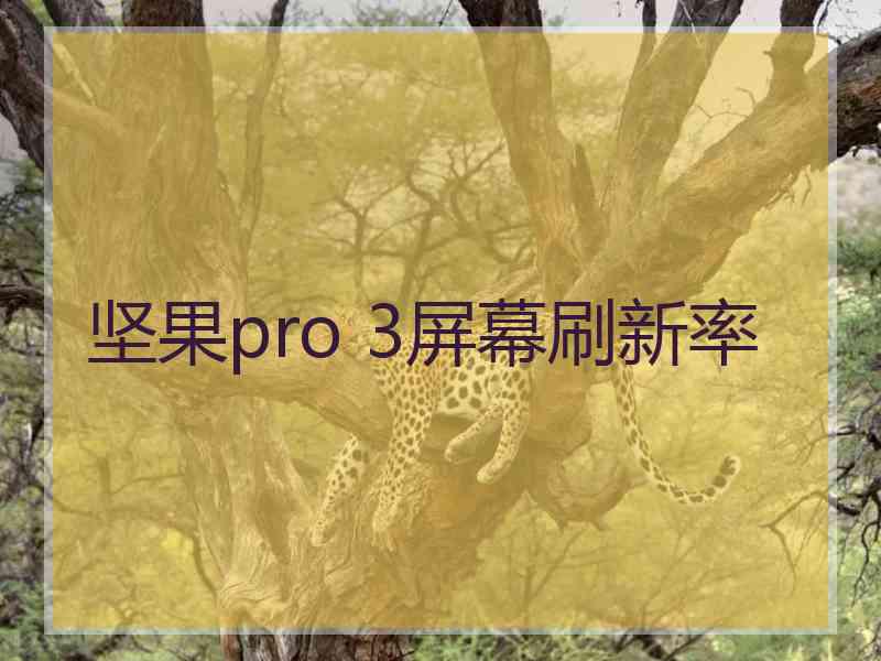 坚果pro 3屏幕刷新率