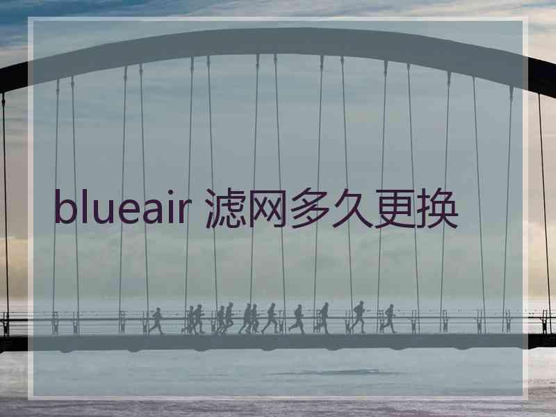 blueair 滤网多久更换