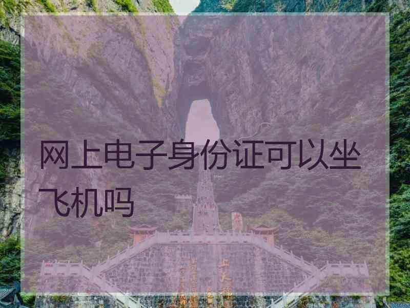 网上电子身份证可以坐飞机吗