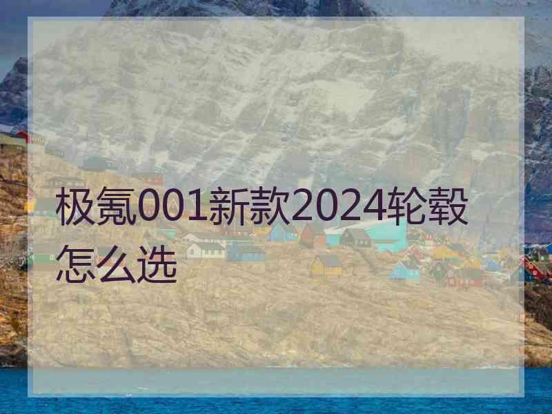 极氪001新款2024轮毂怎么选