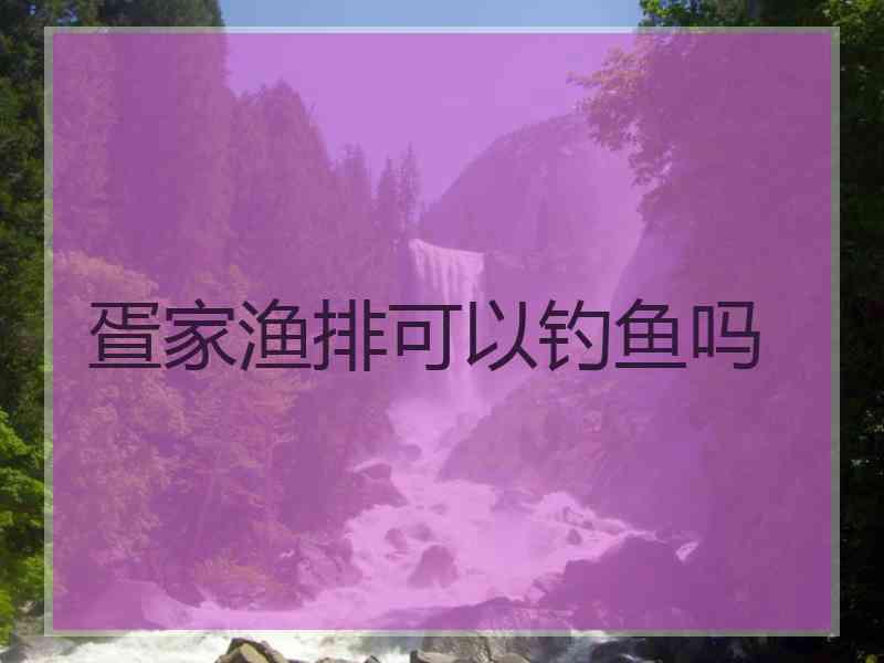 疍家渔排可以钓鱼吗