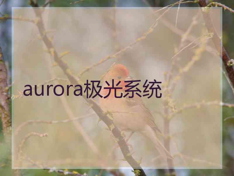 aurora极光系统