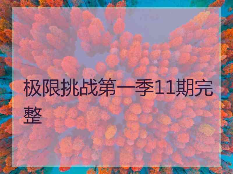 极限挑战第一季11期完整