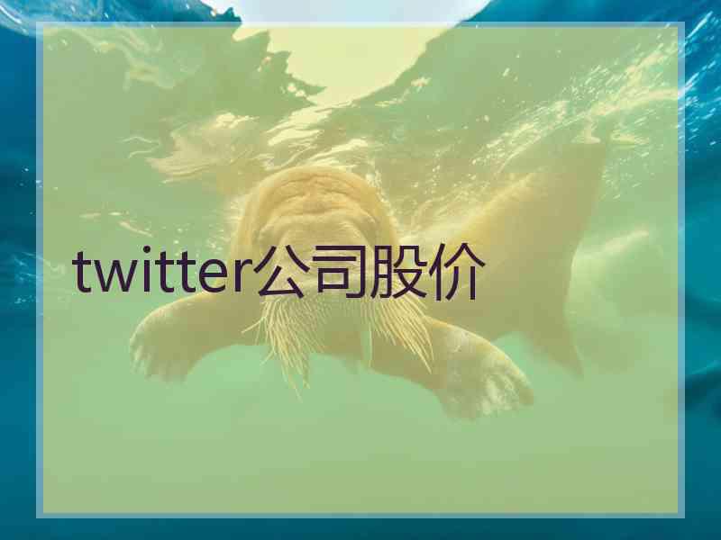 twitter公司股价