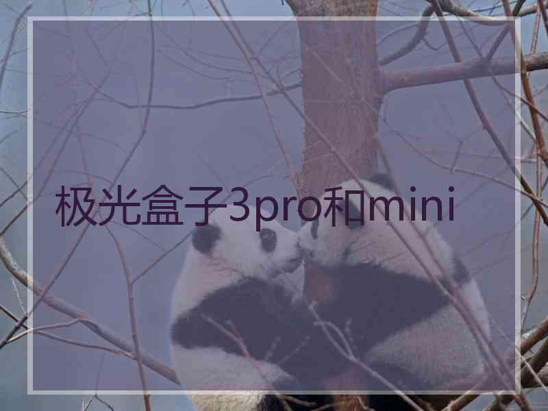 极光盒子3pro和mini