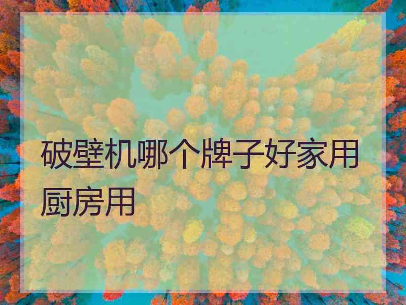 破壁机哪个牌子好家用厨房用