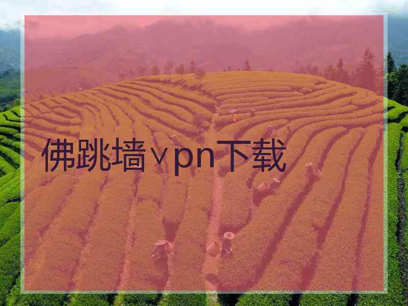 佛跳墙∨pn下载