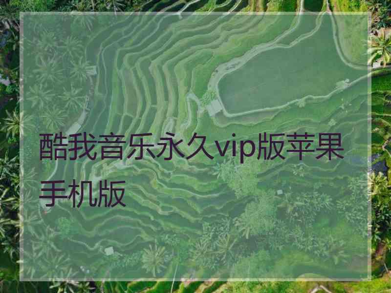 酷我音乐永久vip版苹果手机版